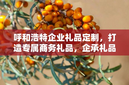 呼和浩特企业礼品定制，打造专属商务礼品，企承礼品供应链助力企业发展